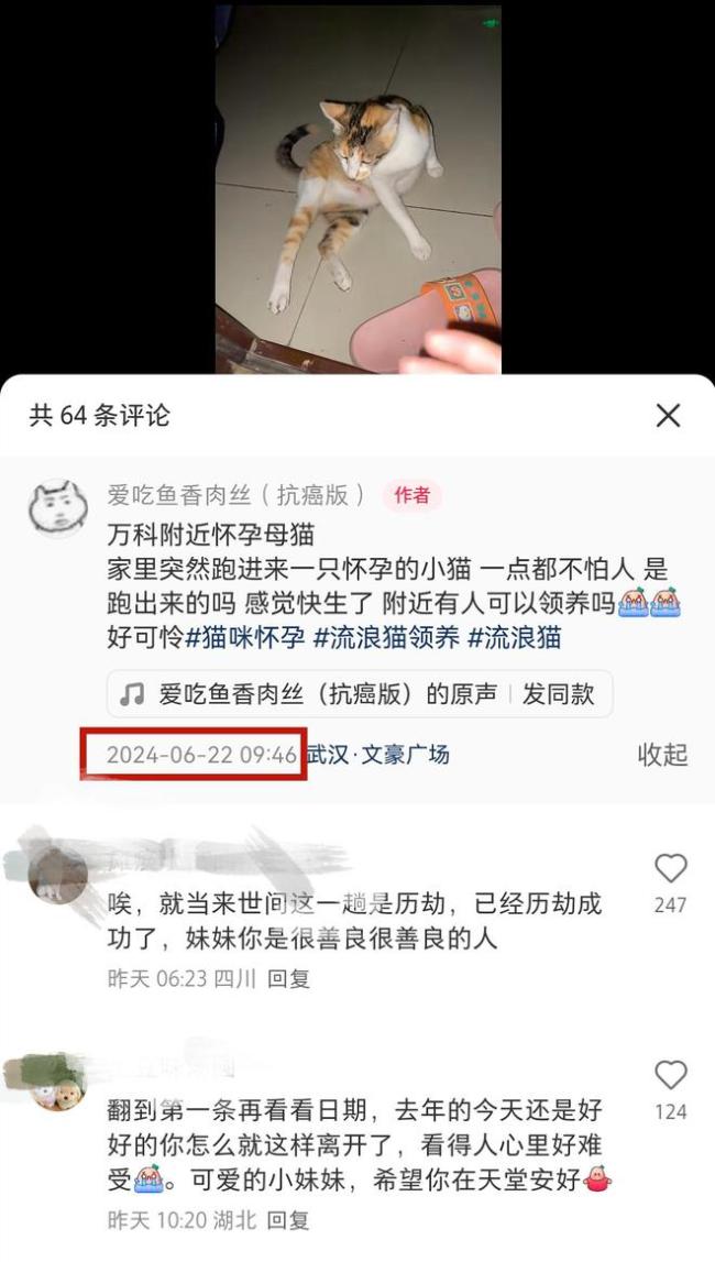 22岁抗癌博主“爱吃鱼香肉丝”去世 年轻生命令人惋惜