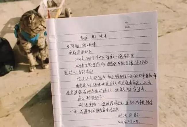 会拉车的网红猫“丧彪”中毒死亡 赵朔评论区留言：养猫好难