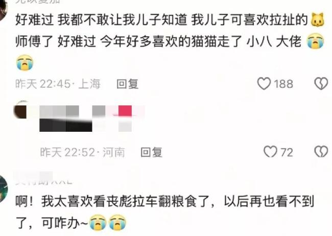 會(huì)拉車(chē)的網(wǎng)紅貓“喪彪”中毒死亡 趙朔評(píng)論區(qū)留言：養(yǎng)貓好難