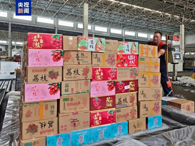 岭南荔枝运输进入高峰期 空运量激增
