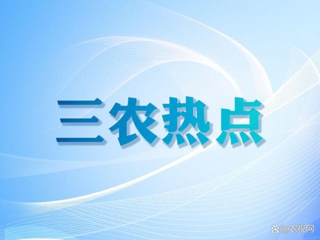 农业农村部政务通APP上线 整合优化政务应用