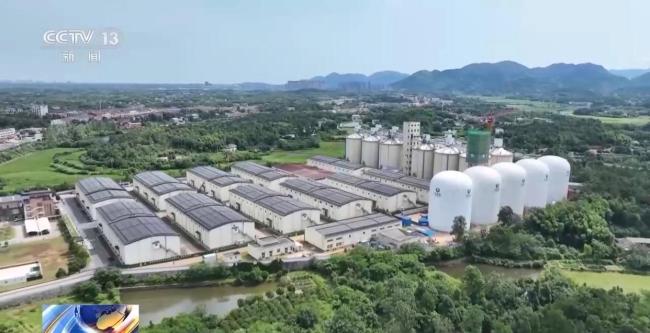 “黑科技”升级粮食“住”进好房子 智能仓储守护粮食安全