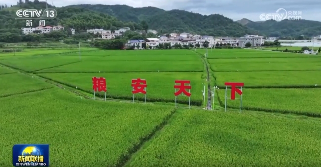 【新思想引領(lǐng)新征程】嚴(yán)守耕地紅線 提升耕地質(zhì)量