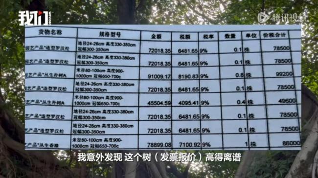 公園被舉報(bào)采購(gòu)天價(jià)樹(shù)每棵近80萬(wàn) 天價(jià)樹(shù)引爭(zhēng)議