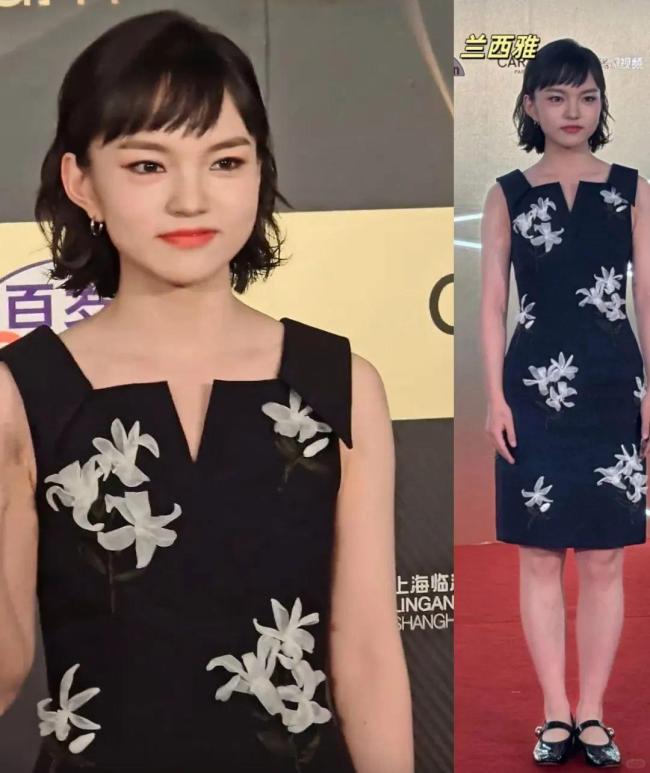 闫妮亮相白玉兰提名晚宴 低调纱裙引关注