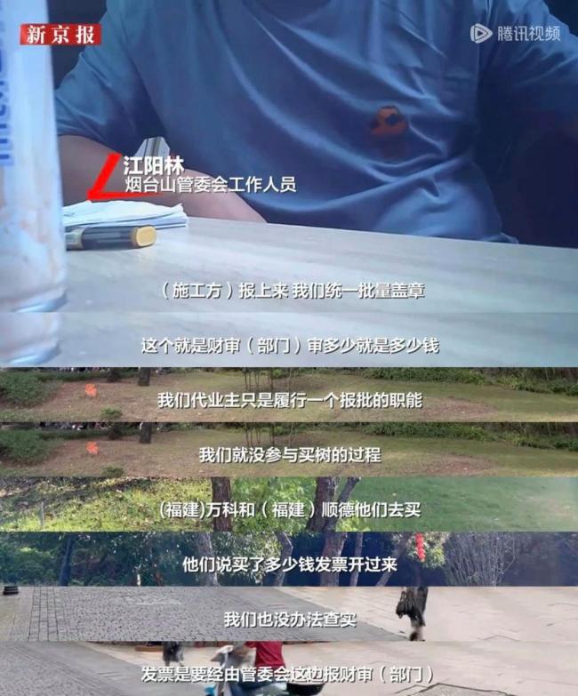 一公园被举报采购天价树 绿化项目引争议