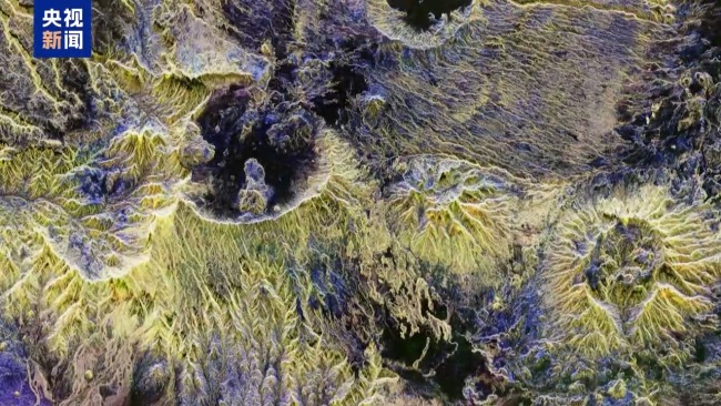 欧航局公布观测森林碳储量卫星发回图像