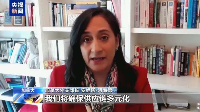 “应减少对美依赖” 加拿大官员呼吁贸易多元化