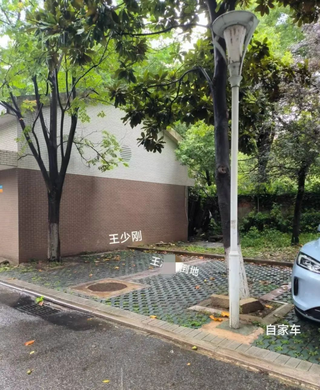 副教授被精神病人杀害 妻子发声：杀人者为精神病人，目前深陷民事赔偿责任方认定争议