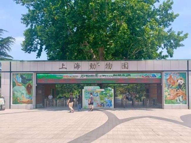 客服回应婴儿展馆内喝奶被赶出 文明观展与人情味之争