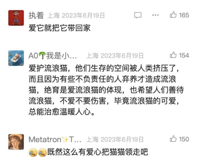 上海很多小区出现了智能猫屋 科学管理引热议