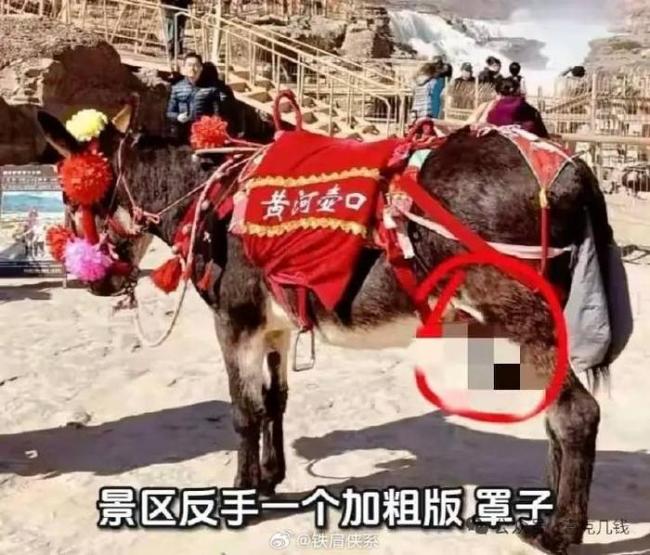 景區(qū)因游客投訴為驢戴上“遮羞套” 荒誕背后的管理反思