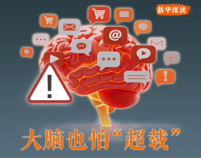為何刷手機(jī)停不下來(lái)