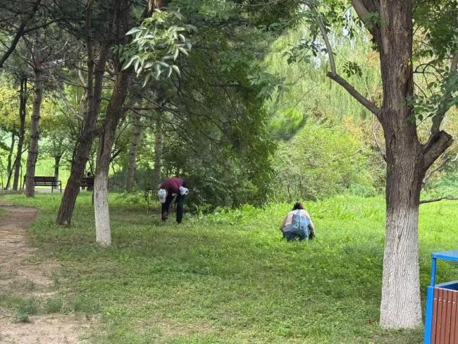 北京奧森游客摘20斤杏引熱議！園方：殘留農(nóng)藥別吃 觀賞果實不宜食用