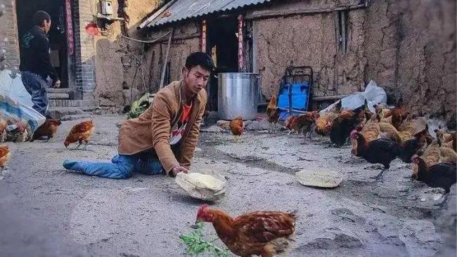 河南爬行娃回應向榕江捐1萬個雞蛋