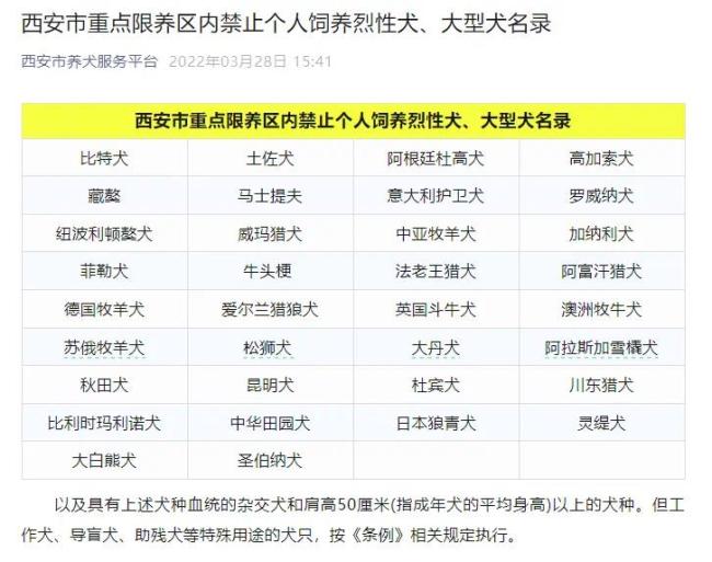 媒體評多地宣布“解禁”中華田園犬 管理趨勢逐步放寬