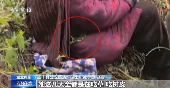 吃野草喝河水苦熬6天 阿尔茨海默病老人深山获救