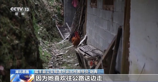 吃野草喝河水苦熬6天 阿爾茨海默病老人深山獲救