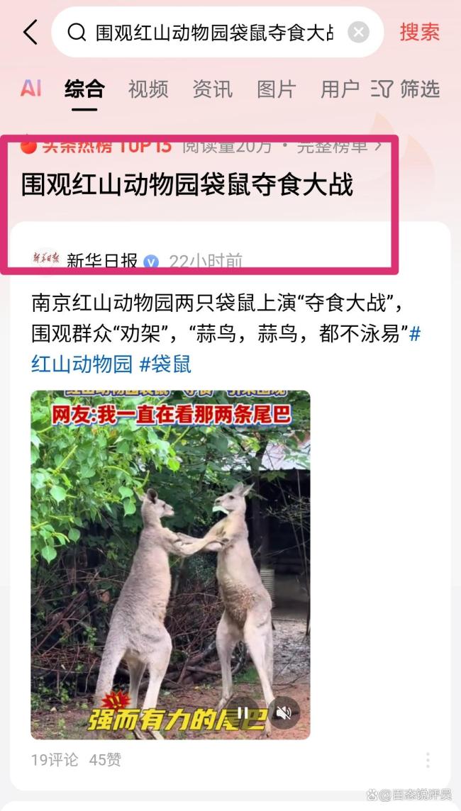 网爆：“围观红山动物园袋鼠夺食大战”火了