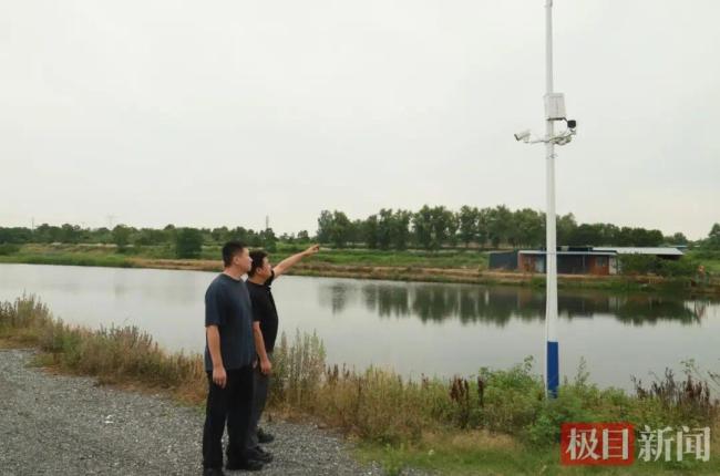 两头耕牛失窃七旬老人含泪报警 民警历时两月寻回
