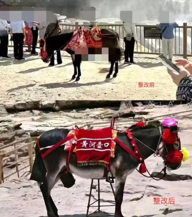 壺口瀑布毛驢遭投訴動(dòng)作不雅,？假 不實(shí)信息被澄清