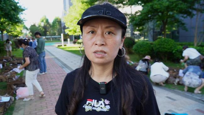 400多只非法運送小貓被截獲 愛心人士救助行動