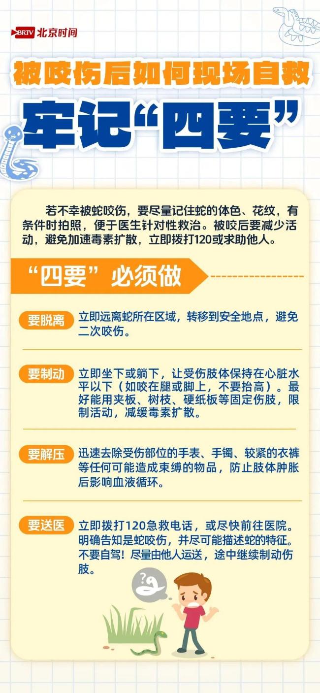 遇蛇不要慌 牢記“四要”“四不要”