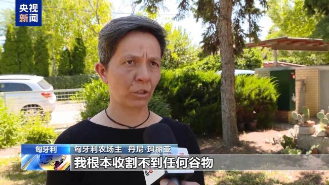 匈牙利高溫干旱致農(nóng)作物嚴(yán)重受災(zāi) 河流水量銳減加劇災(zāi)情