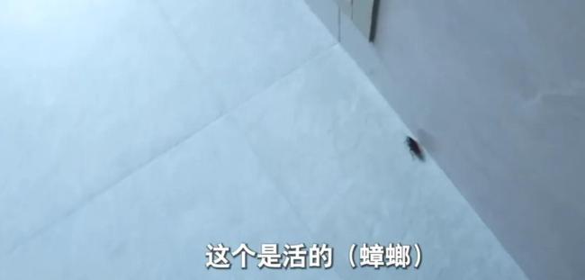 獨居老人網(wǎng)購花費200萬睡在快遞上 囤積成癮背后的心理隱情