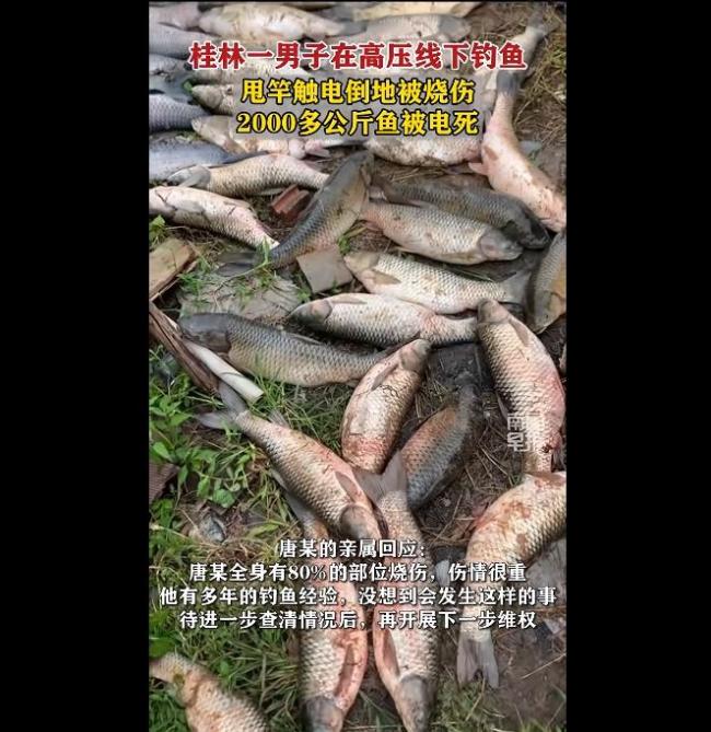 男子钓鱼甩竿碰高压线全身80%烧伤 意外触电引发关注