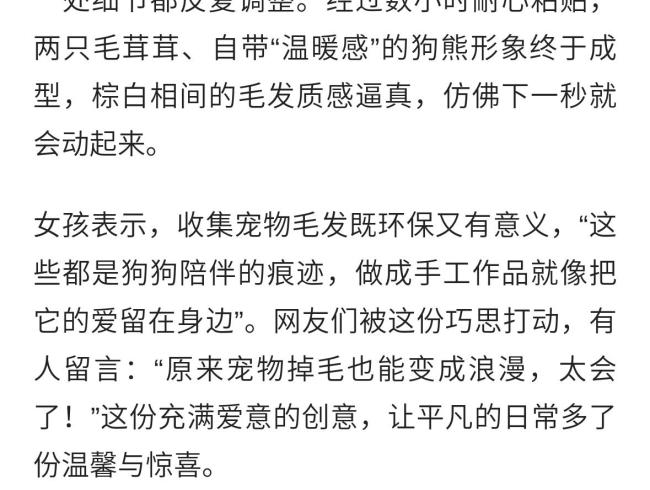 暖心創(chuàng)意,！女孩用狗狗毛發(fā)粘出“熊大熊二”走紅！