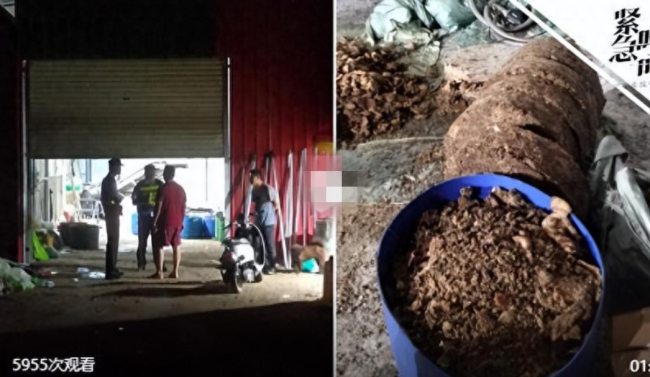 违规炼动物油作坊满地蛆虫老鼠 多部门介入调查