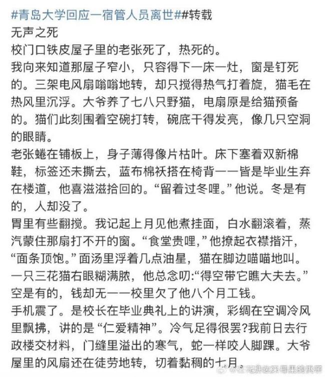 大学生谈宿管大爷：收养了许多流浪猫 高温下的坚守与悲歌