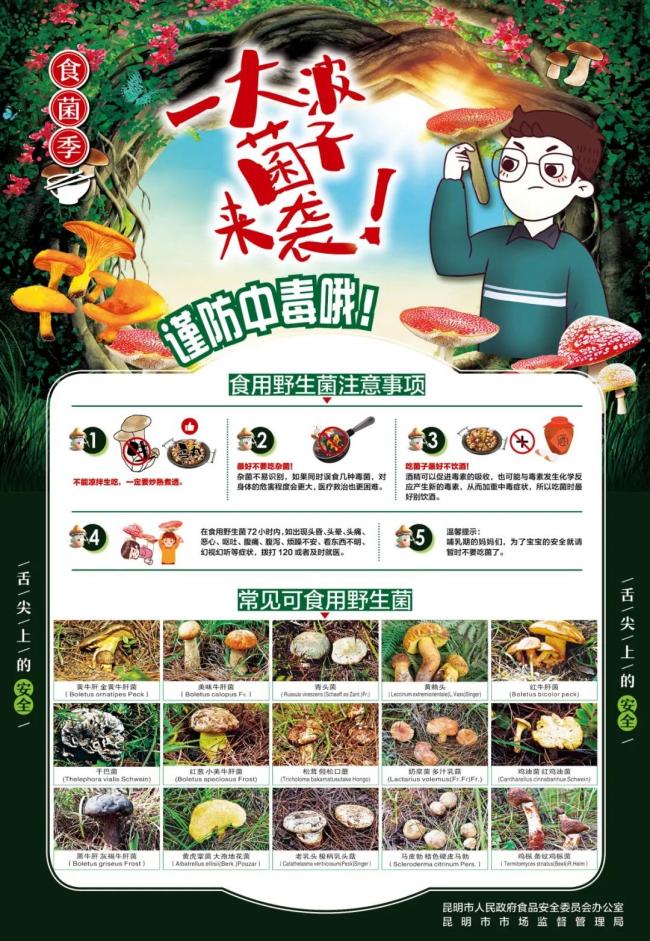 女子吃菌中毒后看到滿地都是白蛇 幻視驚動(dòng)警方救助