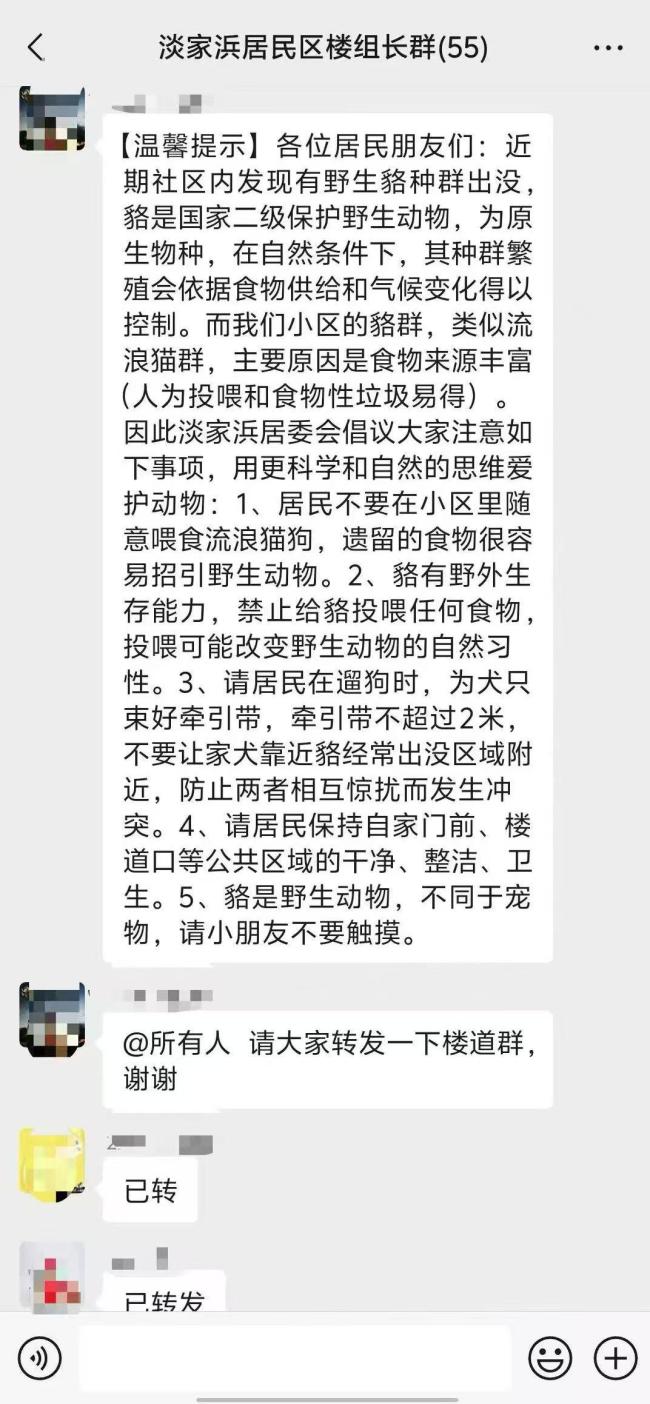 12只貉安家居民小院 居民不堪其扰！国家二级保护动物