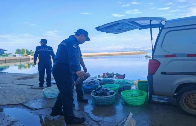 4人下海潛水電魚被當(dāng)場抓獲