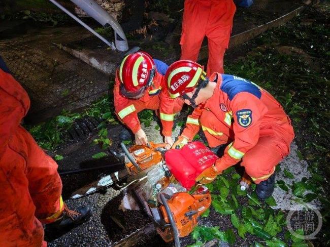重慶暴雨大風(fēng)致樹木倒伏30余車被困 消防緊急救援