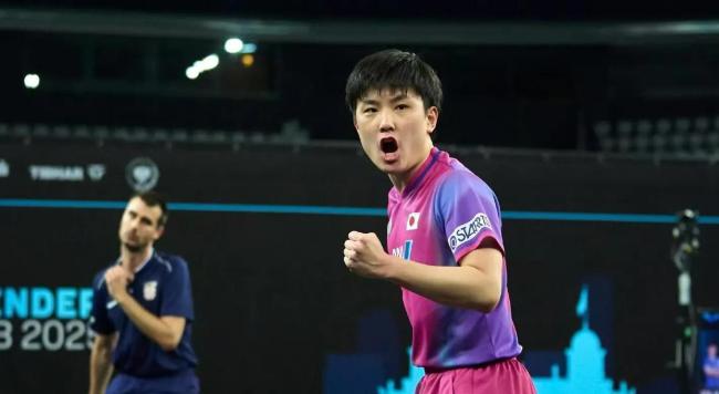 张本智和在妹妹面前跳舞 赛场内外的温馨一刻