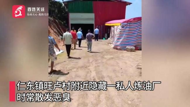 村民回應豬油作坊現場都是蛆蟲蟑螂