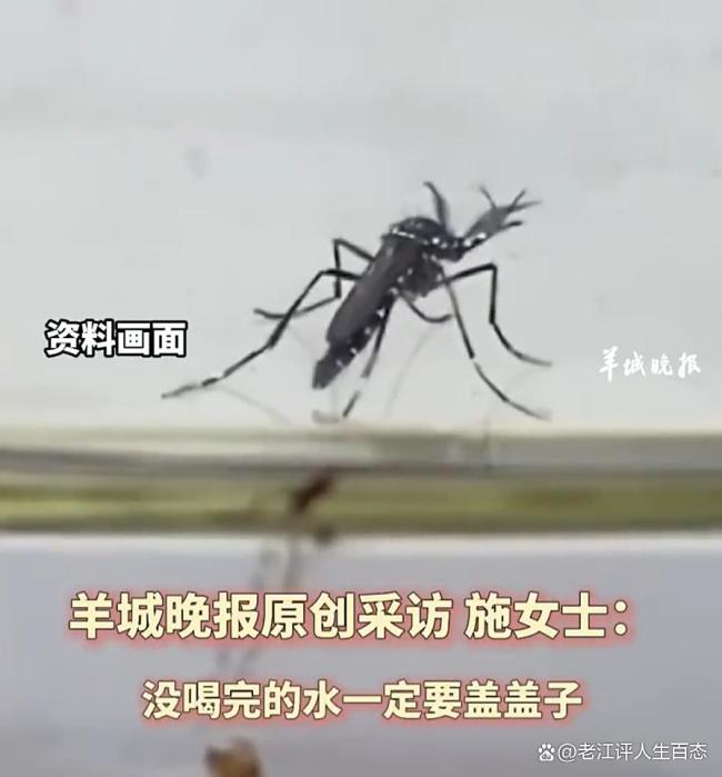 隔夜水 蚊子卵 夏日飲水需謹(jǐn)慎