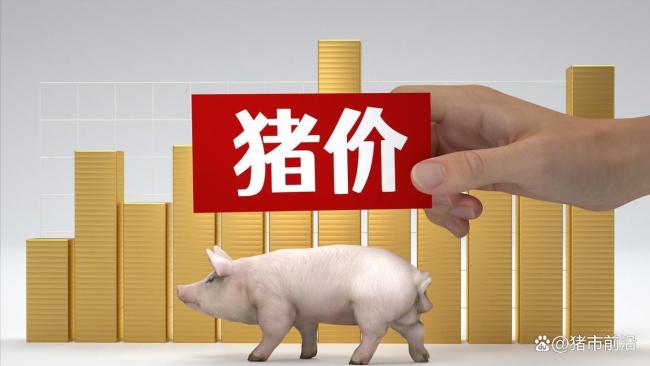 一夜降溫，豬價(jià)下跌“勢(shì)不可擋”,？