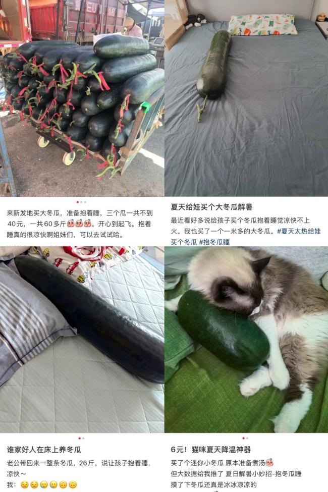 “抱冬瓜睡覺”走紅 醫(yī)生緊急提醒