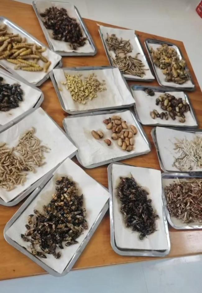 飯店老板隨手拍菜品成“違法廣告” 天價罰款引爭議