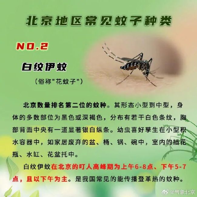 蚊子少了,？監(jiān)測顯示,，北京蚊密度同比下降一成多