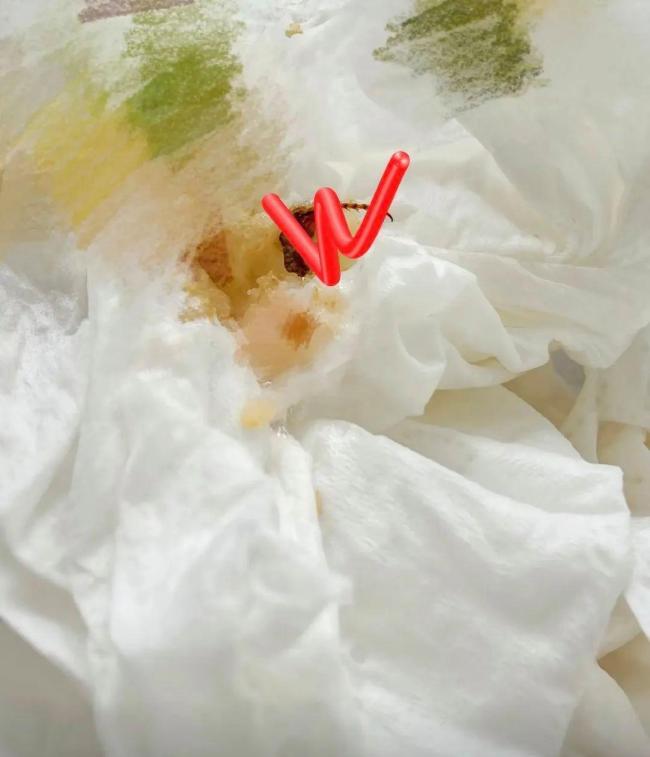 網(wǎng)友稱在快餐中吃出半只蟑螂 事件引發(fā)廣泛關(guān)注
