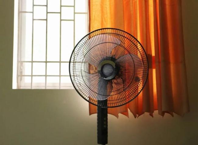 歐洲10天熱死2000多人，這三個指標比純高溫更致命 濕球溫度成關鍵