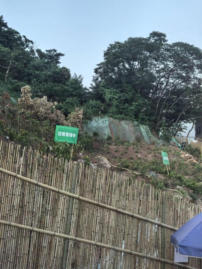 網(wǎng)紅景點蓮花茶攤停業(yè)整治 引發(fā)熱議與爭議
