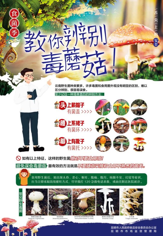 有人在昆明绿化带捡到了鸡枞，网友：已“无害化处理”…
