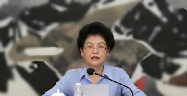 打虎,！正部級劉慧被查