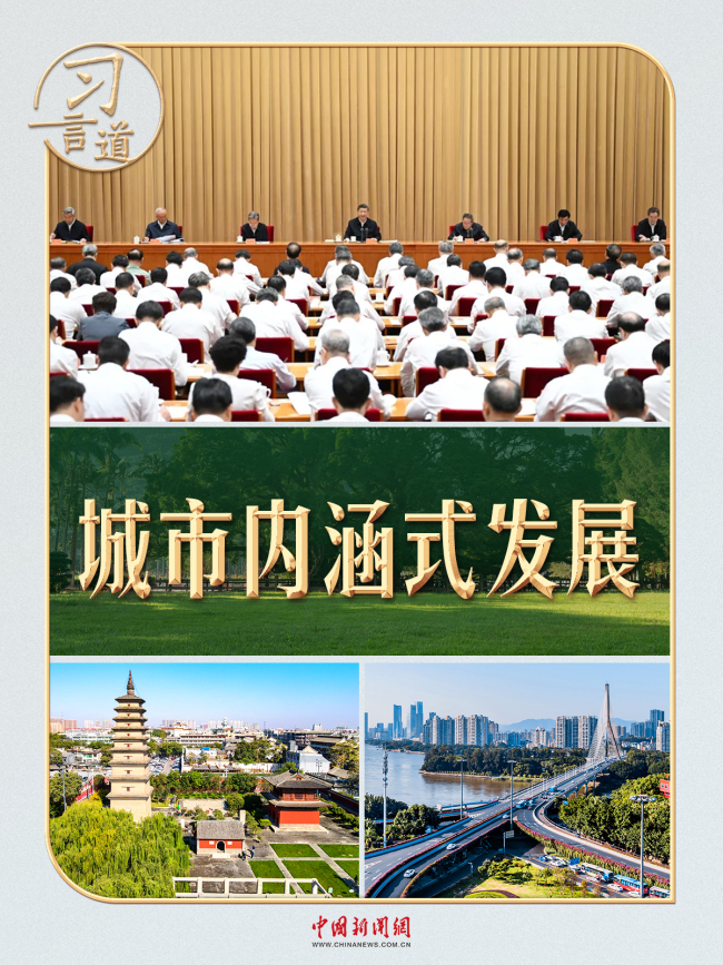 习言道丨一棵大榕树，尽显习近平的城市理念